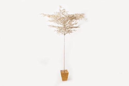 Arbres