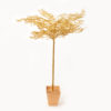 Arbres