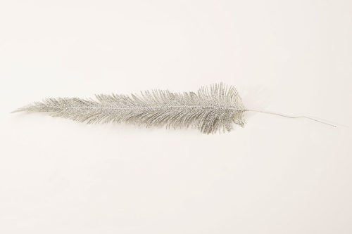 Branche argent