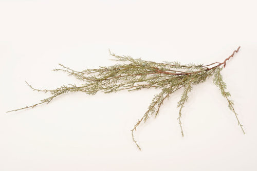 Sapinage 01