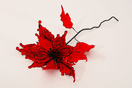Poinsettia 11