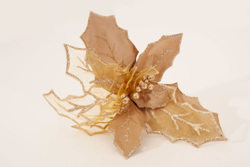 Poinsettia 07