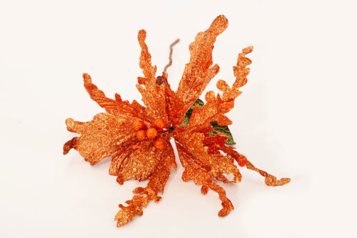Poinsettia 06