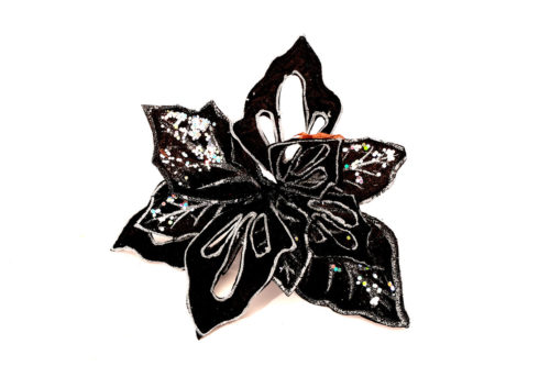 Poinsettia 03