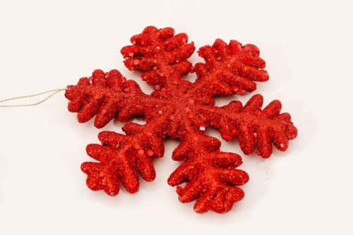 Flocons 2