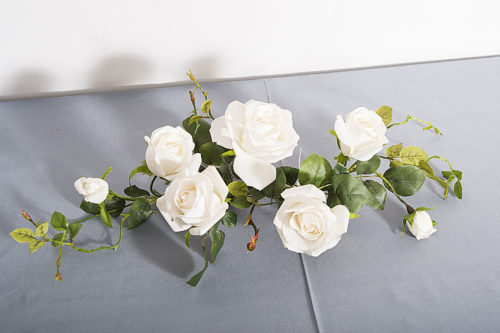 Croissant de rose blanche
