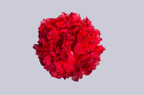 Boule de fleur rouge