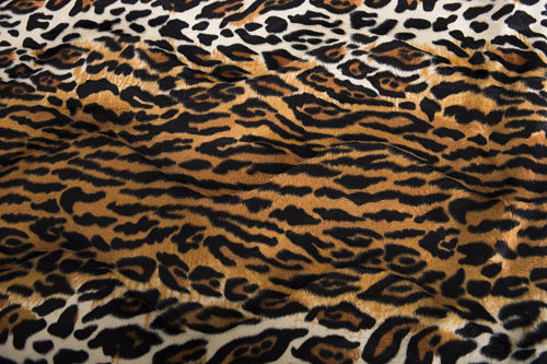 Fourrure animaux #1