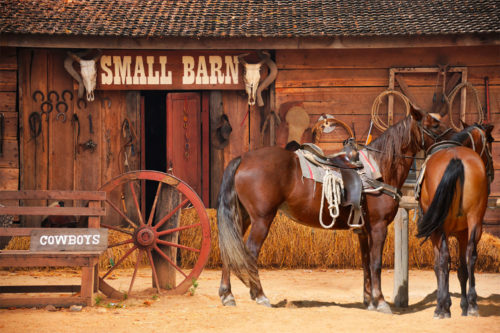 Western