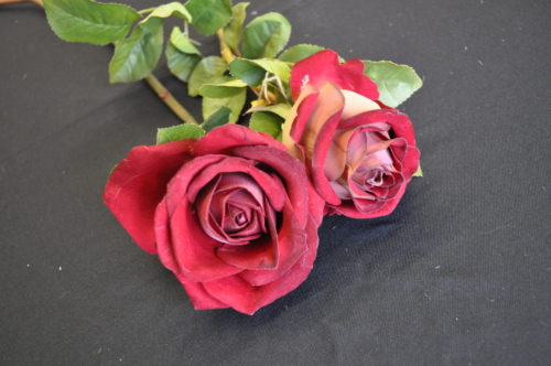 Rose rouge
