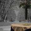 Hivernale