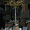 Arbres