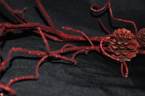 Branche rouge brillante