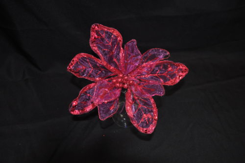 Poinsettia Fushia
