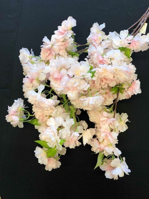Fleur de cerisier