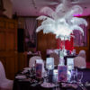 Plume
