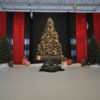 Sapin