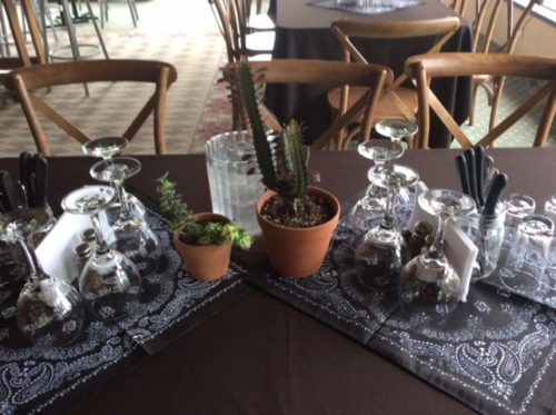 Succulente